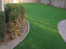 Lawn